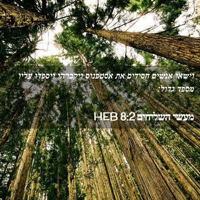 Picture 02 - מעשי השליחים 8:2 HEB - וישאו אנשים חסידים את - Bible Verse Picture