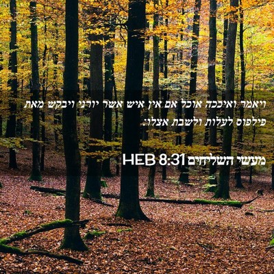 Picture 02 - מעשי השליחים 8:31 HEB - ויאמר ואיככה אוכל אם אין - Bible Verse Picture