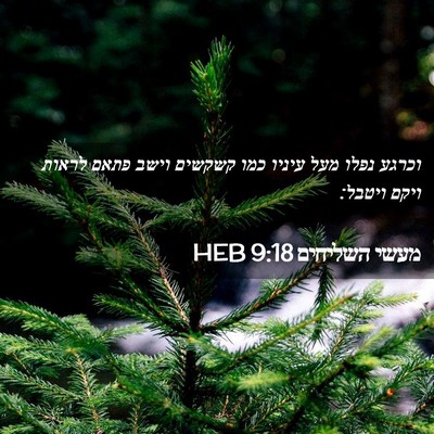 Picture 02 - מעשי השליחים 9:18 HEB - וכרגע נפלו מעל עיניו כמו - Bible Verse Picture