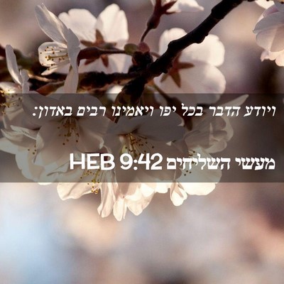 Picture 02 - מעשי השליחים 9:42 HEB - ויודע הדבר בכל יפו ויאמינו - Bible Verse Picture