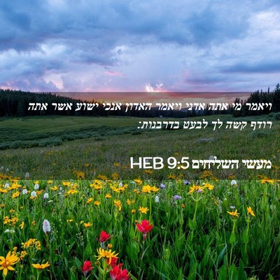 Picture 02 - מעשי השליחים 9:5 HEB - ויאמר מי אתה אדני ויאמר - Bible Verse Picture