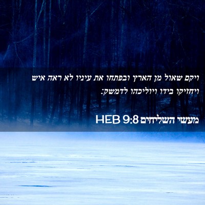 Picture 02 - מעשי השליחים 9:8 HEB - ויקם שאול מן הארץ ובפתחו את - Bible Verse Picture