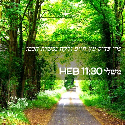 Picture 02 - משלי 11:30 HEB - פרי צדיק עץ חיים ולקח נפשות - Bible Verse Picture