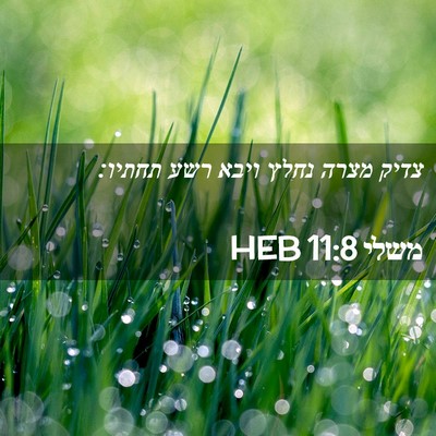Picture 02 - משלי 11:8 HEB - צדיק מצרה נחלץ ויבא רשע - Bible Verse Picture