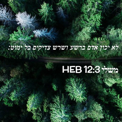Picture 02 - משלי 12:3 HEB - לא יכון אדם ברשע ושרש - Bible Verse Picture