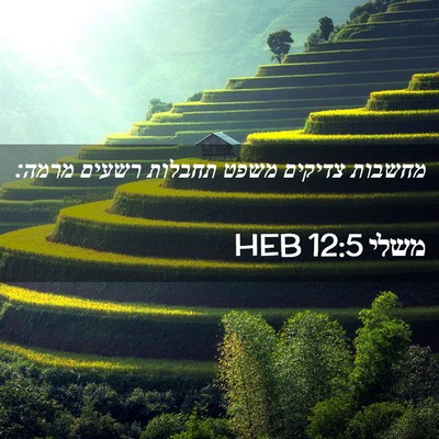Picture 02 - משלי 12:5 HEB - מחשבות צדיקים משפט תחבלות - Bible Verse Picture