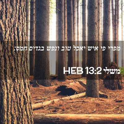 Picture 02 - משלי 13:2 HEB - מפרי פי איש יאכל טוב ונפש - Bible Verse Picture