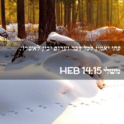 Picture 02 - משלי 14:15 HEB - פתי יאמין לכל דבר וערום - Bible Verse Picture