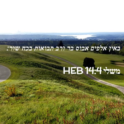 Picture 02 - משלי 14:4 HEB - באין אלפים אבוס בר ורב - Bible Verse Picture
