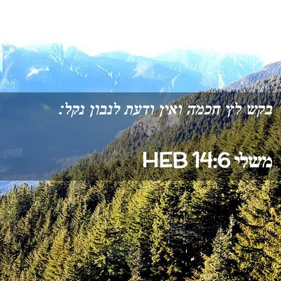 Picture 02 - משלי 14:6 HEB - בקש לץ חכמה ואין ודעת לנבון - Bible Verse Picture