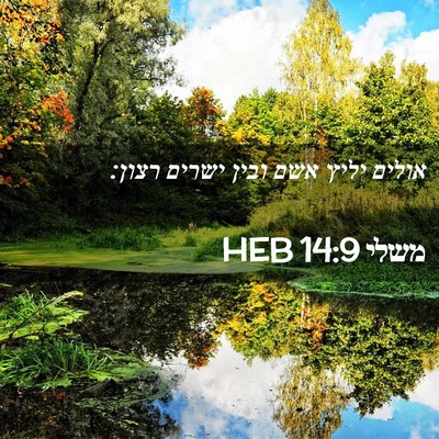 Picture 02 - משלי 14:9 HEB - אולים יליץ אשם ובין ישרים - Bible Verse Picture