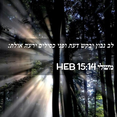 Picture 02 - משלי 15:14 HEB - לב נבון יבקש דעת ופני - Bible Verse Picture