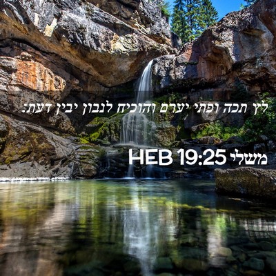 Picture 02 - משלי 19:25 HEB - לץ תכה ופתי יערם והוכיח - Bible Verse Picture