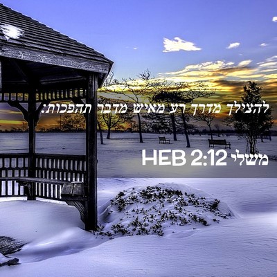 Picture 02 - משלי 2:12 HEB - להצילך מדרך רע מאיש מדבר - Bible Verse Picture