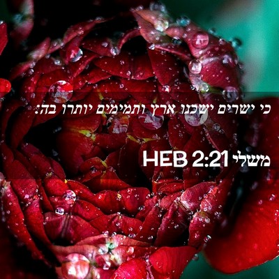 Picture 02 - משלי 2:21 HEB - כי ישרים ישכנו ארץ ותמימים - Bible Verse Picture