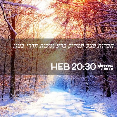 Picture 02 - משלי 20:30 HEB - חברות פצע תמריק ברע ומכות - Bible Verse Picture