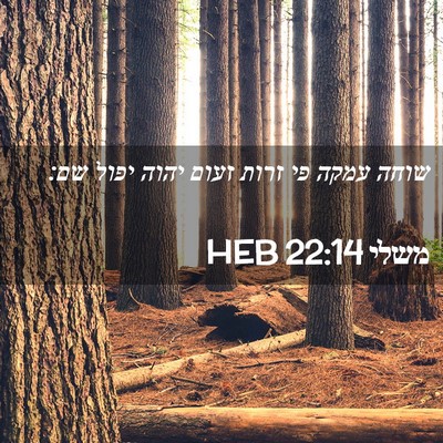 Picture 02 - משלי 22:14 HEB - שוחה עמקה פי זרות זעום יהוה - Bible Verse Picture