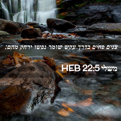 Picture 02 - משלי 22:5 HEB - צנים פחים בדרך עקש שומר - Bible Verse Picture