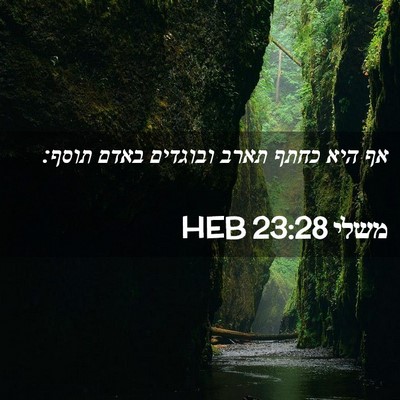 Picture 02 - משלי 23:28 HEB - אף היא כחתף תארב ובוגדים - Bible Verse Picture