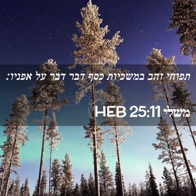 Picture 02 - משלי 25:11 HEB - תפוחי זהב במשכיות כסף דבר - Bible Verse Picture