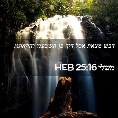 Picture 02 - משלי 25:16 HEB - דבש מצאת אכל דיך פן תשבענו - Bible Verse Picture