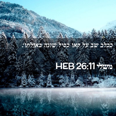 Picture 02 - משלי 26:11 HEB - ככלב שב על קאו כסיל שונה - Bible Verse Picture
