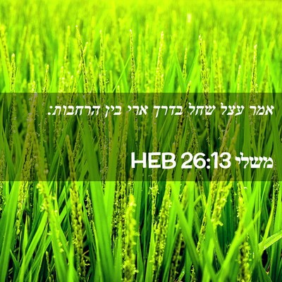 Picture 02 - משלי 26:13 HEB - אמר עצל שחל בדרך ארי בין - Bible Verse Picture