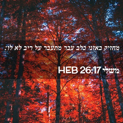 Picture 02 - משלי 26:17 HEB - מחזיק באזני כלב עבר מתעבר - Bible Verse Picture