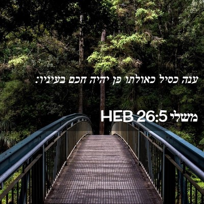 Picture 02 - משלי 26:5 HEB - ענה כסיל כאולתו פן יהיה חכם - Bible Verse Picture