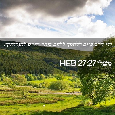 Picture 02 - משלי 27:27 HEB - ודי חלב עזים ללחמך ללחם - Bible Verse Picture