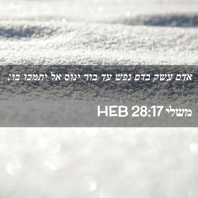Picture 02 - משלי 28:17 HEB - אדם עשק בדם נפש עד בור ינוס - Bible Verse Picture
