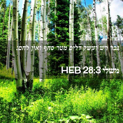 Picture 02 - משלי 28:3 HEB - גבר רש ועשק דלים מטר סחף - Bible Verse Picture