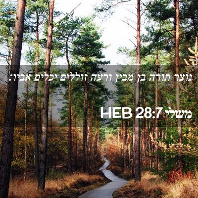 Picture 02 - משלי 28:7 HEB - נוצר תורה בן מבין ורעה - Bible Verse Picture