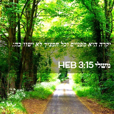 Picture 02 - משלי 3:15 HEB - יקרה היא מפניים וכל חפציך - Bible Verse Picture