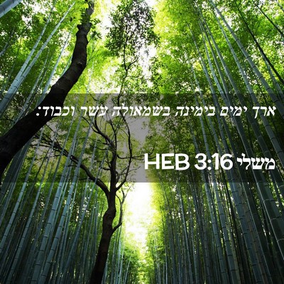 Picture 02 - משלי 3:16 HEB - ארך ימים בימינה בשמאולה - Bible Verse Picture