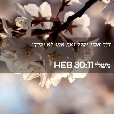 Picture 02 - משלי 30:11 HEB - דור אביו יקלל ואת אמו לא - Bible Verse Picture