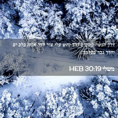 Picture 02 - משלי 30:19 HEB - דרך הנשר בשמים דרך נחש עלי - Bible Verse Picture