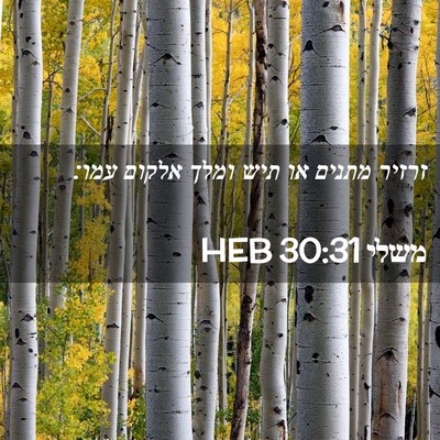 Picture 02 - משלי 30:31 HEB - זרזיר מתנים או תיש ומלך - Bible Verse Picture