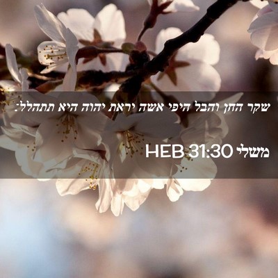 Picture 02 - משלי 31:30 HEB - שקר החן והבל היפי אשה יראת - Bible Verse Picture