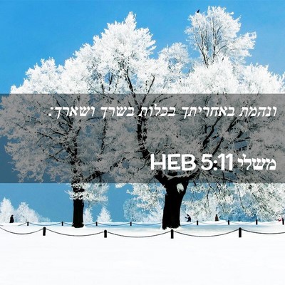 Picture 02 - משלי 5:11 HEB - ונהמת באחריתך בכלות בשרך - Bible Verse Picture