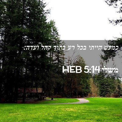 Picture 02 - משלי 5:14 HEB - כמעט הייתי בכל רע בתוך קהל - Bible Verse Picture