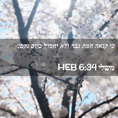 Picture 02 - משלי 6:34 HEB - כי קנאה חמת גבר ולא יחמול - Bible Verse Picture