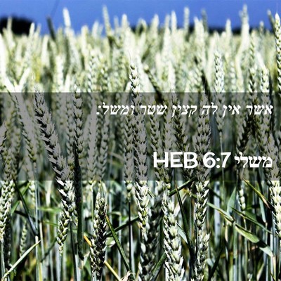 Picture 02 - משלי 6:7 HEB - אשר אין לה קצין שטר - Bible Verse Picture