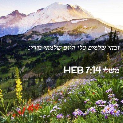 Picture 02 - משלי 7:14 HEB - זבחי שלמים עלי היום שלמתי - Bible Verse Picture