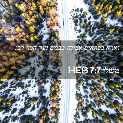 Picture 02 - משלי 7:7 HEB - וארא בפתאים אבינה בבנים - Bible Verse Picture