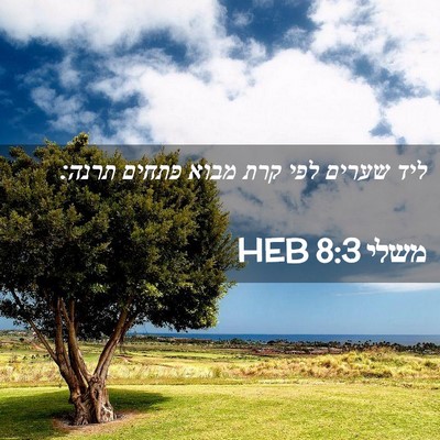 Picture 02 - משלי 8:3 HEB - ליד שערים לפי קרת מבוא - Bible Verse Picture