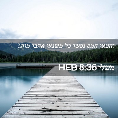 Picture 02 - משלי 8:36 HEB - וחטאי חמס נפשו כל משנאי - Bible Verse Picture