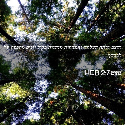 Picture 02 - נחום 2:7 HEB - והצב גלתה העלתה ואמהתיה - Bible Verse Picture