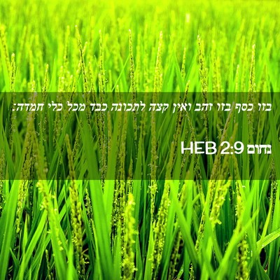 Picture 02 - נחום 2:9 HEB - בזו כסף בזו זהב ואין קצה - Bible Verse Picture