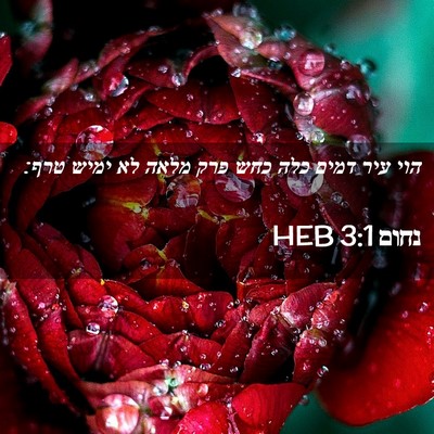 Picture 02 - נחום 3:1 HEB - הוי עיר דמים כלה כחש פרק - Bible Verse Picture